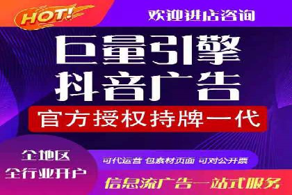 竞价广告的投放策略与效果评估——以一成功企业为例